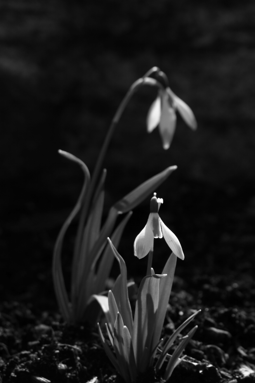 2015 04 05 HTP 000038197ebw